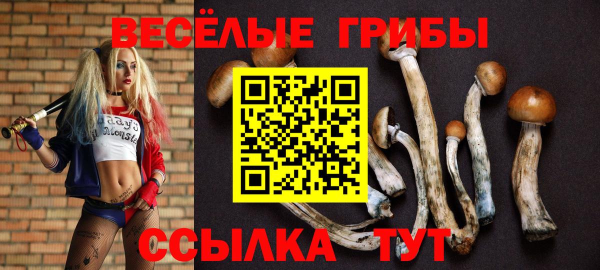 Галлюциногенные грибы Psilocybe  Вход с VPN  Домодедово  Псилоцибиновые грибы Psilocybine cubensis 